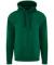 Bottle Green Pro RTX Pro Hoodie (RX350)