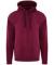 Burgundy Pro RTX Pro Hoodie (RX350)