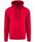 Red Pro RTX Pro Hoodie (RX350)