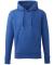 Colour name Men's Anthem Hoodie