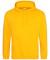 Gold AWD College Hoodie (JH001)