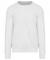 Arctic White AWD Graduate Heavyweight Sweatshirt (JH130)