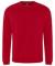 Red Pro RTX Pro Sweatshirt (RX301)