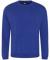 Royal Blue Pro RTX Pro Sweatshirt (RX301)