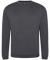 Solid Grey Pro RTX Pro Sweatshirt (RX301)